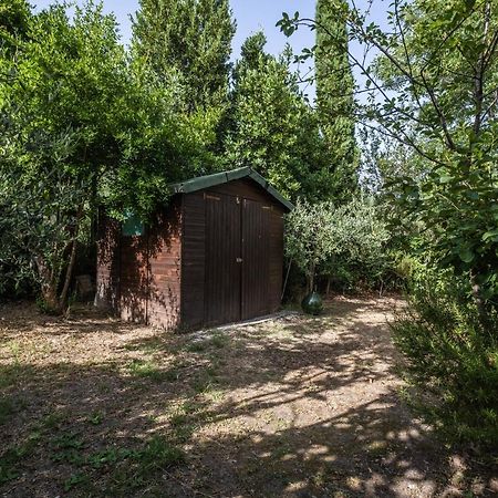 La Sosta Del Pellegrino Appartement Sorano  Buitenkant foto