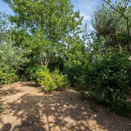 La Sosta Del Pellegrino Appartement Sorano  Buitenkant foto
