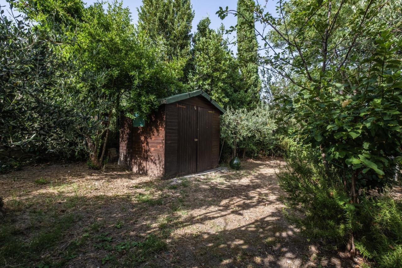 La Sosta Del Pellegrino Appartement Sorano  Buitenkant foto