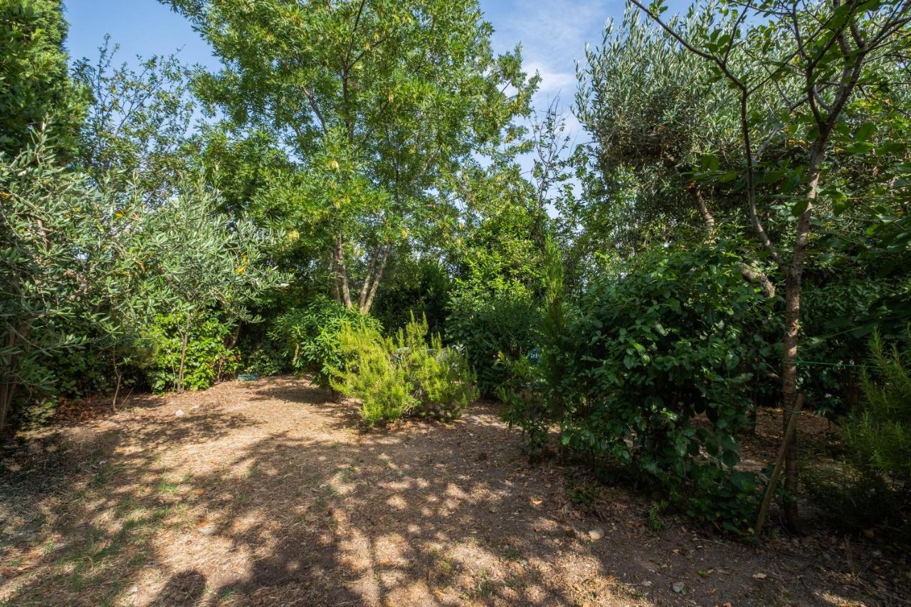 La Sosta Del Pellegrino Appartement Sorano  Buitenkant foto
